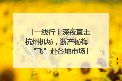 一线行丨深夜直击杭州机场，浙产杨梅“飞”赴各地市场