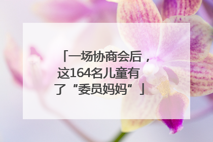 一场协商会后，这164名儿童有了“委员妈妈”