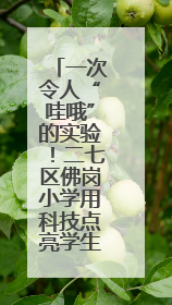 一次令人“哇哦”的实验！二七区佛岗小学用科技点亮学生未来