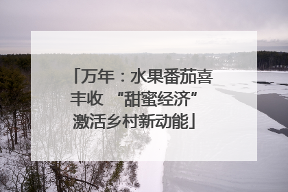 万年：水果番茄喜丰收 “甜蜜经济”激活乡村新动能