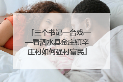 三个书记一台戏——看泗水县金庄镇辛庄村如何强村富民