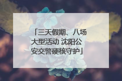 三天假期、八场大型活动 沈阳公安交警硬核守护