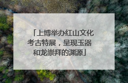 上博举办红山文化考古特展，呈现玉器和龙崇拜的渊源