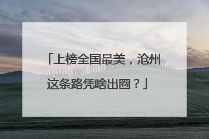 上榜全国最美，沧州这条路凭啥出圈？
