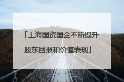 上海国资国企不断提升股东回报和价值表现