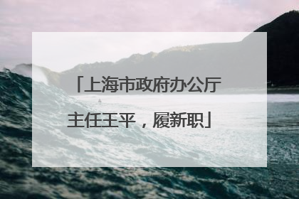 上海市政府办公厅主任王平，履新职