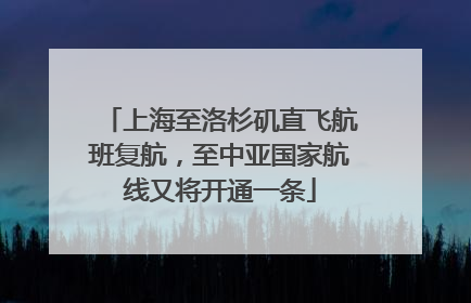上海至洛杉矶直飞航班复航，至中亚国家航线又将开通一条