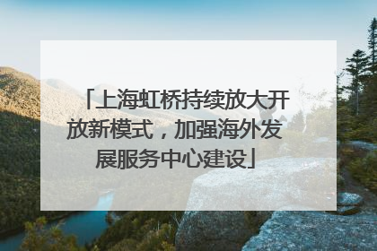 上海虹桥持续放大开放新模式，加强海外发展服务中心建设