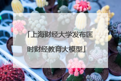 上海财经大学发布匡时财经教育大模型
