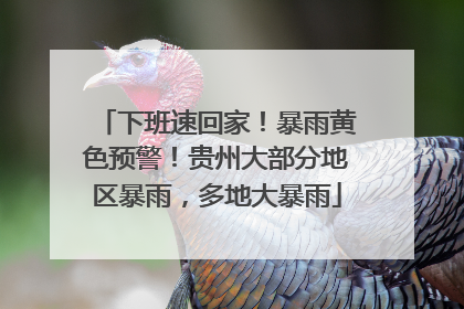 下班速回家！暴雨黄色预警！贵州大部分地区暴雨，多地大暴雨
