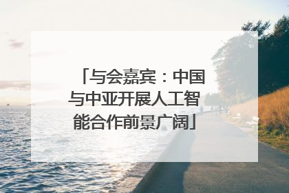 与会嘉宾：中国与中亚开展人工智能合作前景广阔