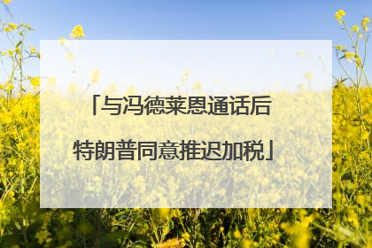 与冯德莱恩通话后 特朗普同意推迟加税
