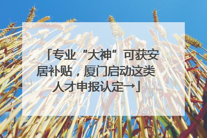 专业“大神”可获安居补贴，厦门启动这类人才申报认定→