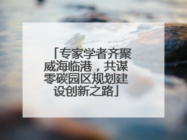 专家学者齐聚威海临港，共谋零碳园区规划建设创新之路