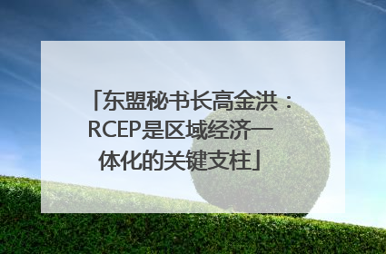 东盟秘书长高金洪：RCEP是区域经济一体化的关键支柱