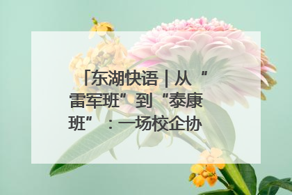 东湖快语｜从“雷军班”到“泰康班”：一场校企协同的“接力赛”