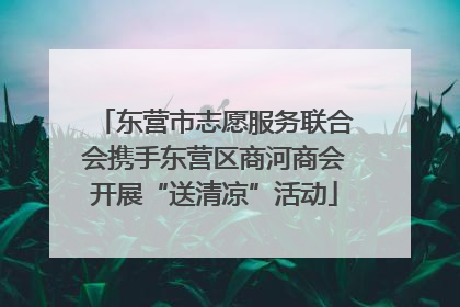 东营市志愿服务联合会携手东营区商河商会开展“送清凉”活动