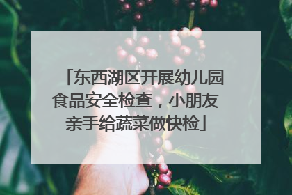 东西湖区开展幼儿园食品安全检查，小朋友亲手给蔬菜做快检
