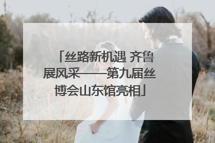 丝路新机遇 齐鲁展风采——第九届丝博会山东馆亮相