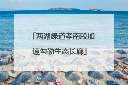 两湖绿道孝南段加速勾勒生态长廊