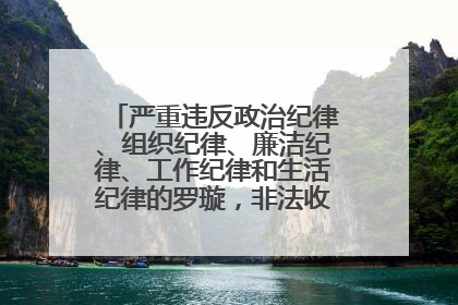 严重违反政治纪律、组织纪律、廉洁纪律、工作纪律和生活纪律的罗璇，非法收受他人巨额财物