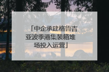 中企承建格鲁吉亚波季港集装箱堆场投入运营