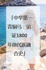 中华第一青铜马：见证1800年前民族融合史