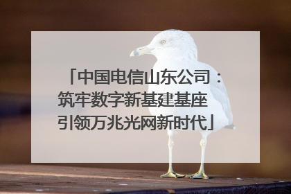 中国电信山东公司：筑牢数字新基建基座 引领万兆光网新时代