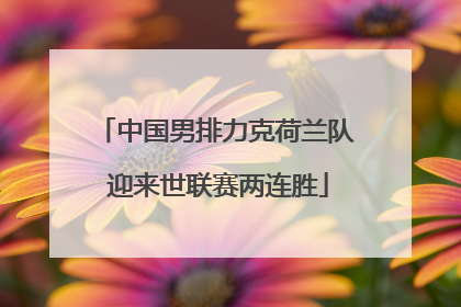 中国男排力克荷兰队 迎来世联赛两连胜