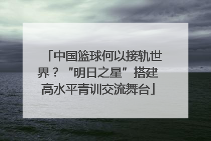 中国篮球何以接轨世界？“明日之星”搭建高水平青训交流舞台