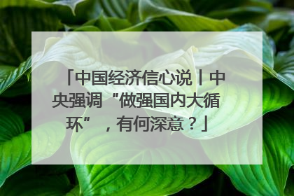 中国经济信心说丨中央强调“做强国内大循环”，有何深意？