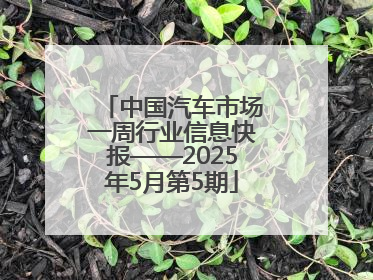 中国汽车市场一周行业信息快报——2025年5月第5期