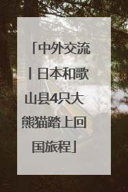 中外交流丨日本和歌山县4只大熊猫踏上回国旅程