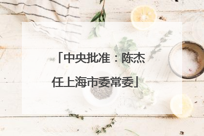 中央批准：陈杰任上海市委常委