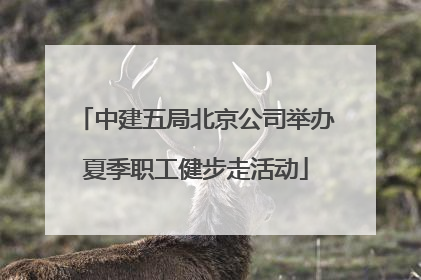 中建五局北京公司举办夏季职工健步走活动