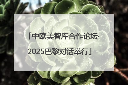 中欧美智库合作论坛·2025巴黎对话举行