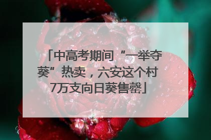 中高考期间“一举夺葵”热卖，六安这个村7万支向日葵售罄