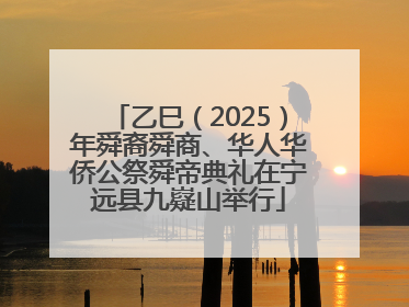 乙巳（2025）年舜裔舜商、华人华侨公祭舜帝典礼在宁远县九嶷山举行
