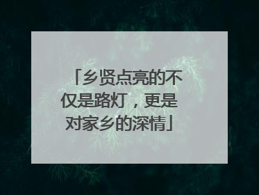 乡贤点亮的不仅是路灯，更是对家乡的深情