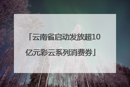 云南省启动发放超10亿元彩云系列消费券
