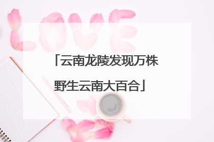 云南龙陵发现万株野生云南大百合