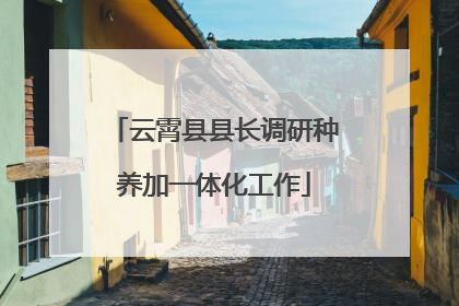 云霄县县长调研种养加一体化工作