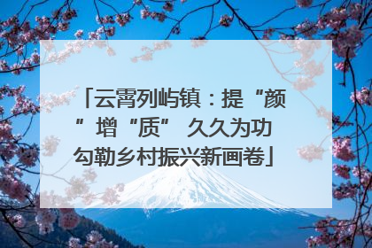 云霄列屿镇：提“颜”增“质” 久久为功勾勒乡村振兴新画卷