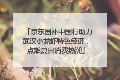京东国补中国行助力武汉小龙虾特色经济，点燃夏日消费热潮