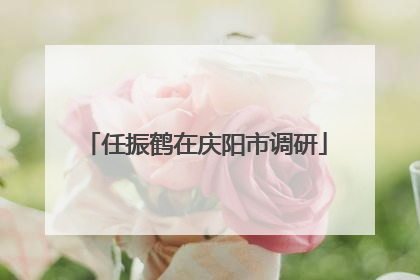 任振鹤在庆阳市调研