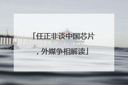 任正非谈中国芯片，外媒争相解读