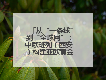 从“一条线”到“全球网”：中欧班列（西安）构建亚欧黄金物流大通道
