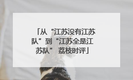 从“江苏没有江苏队”到“江苏全是江苏队” 荔枝时评