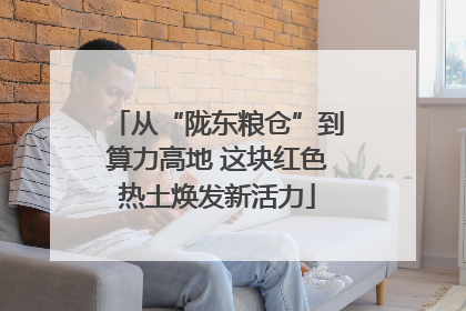 从“陇东粮仓”到算力高地 这块红色热土焕发新活力