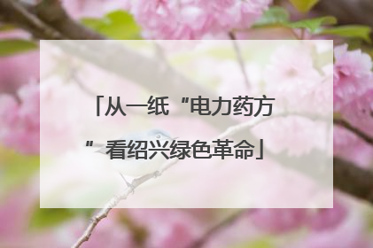 从一纸“电力药方”看绍兴绿色革命